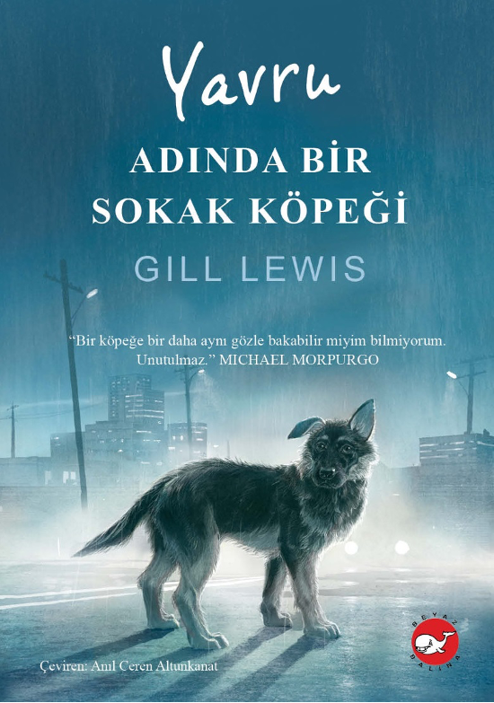 Yavru Adında Bir Sokak Köpeği - Beyaz Balina Yayınları Kitap