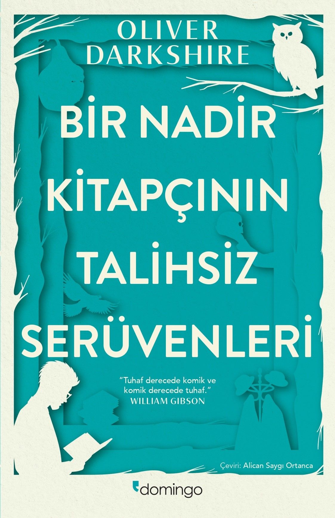 Bir Nadir Kitapçının Talihsiz Serüvenleri - Domingo Yayınevi Kitap
