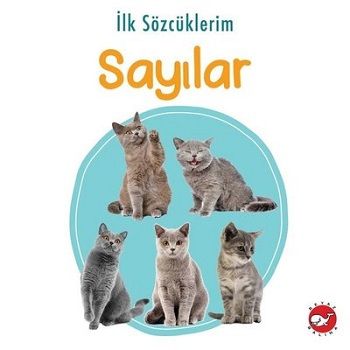 İlk Sözcüklerim - Sayılar - Beyaz Balina Yayınları Kitap