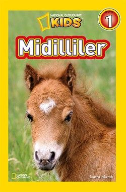 Midilliler - Beta Kids Kitap