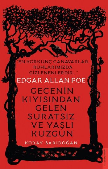 Edgar Allan Poe / Gecenin Kıyısından Gelen Suratsız ve Yaşlı Kuzgun - Destek Yayınları Kitap