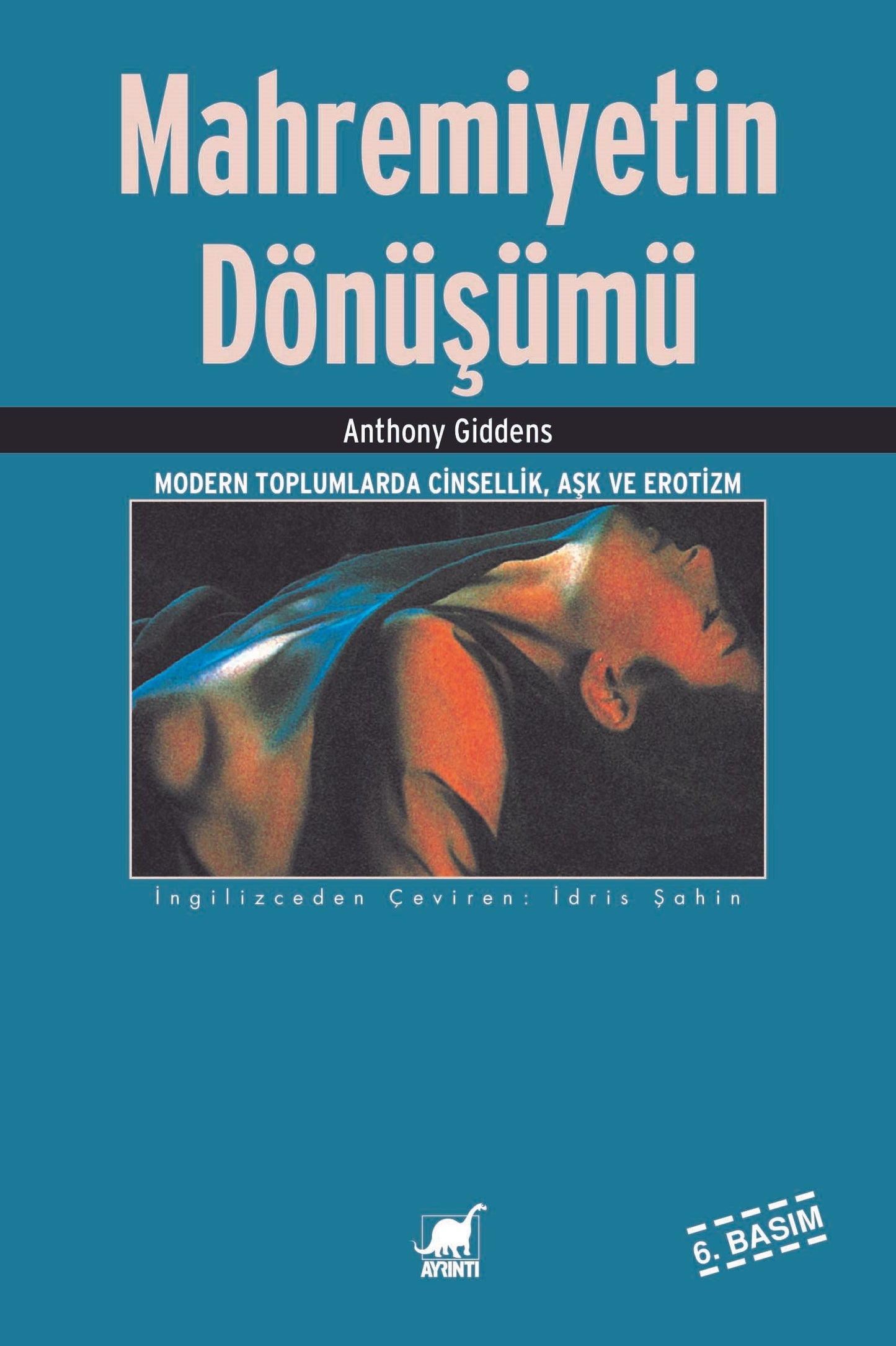 Mahremiyetin Dönüşümü - Ayrıntı Yayınları Kitap