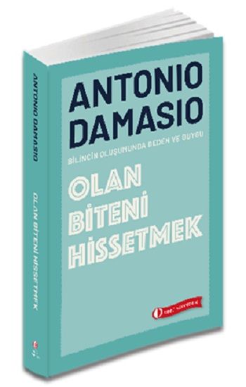 Olan Biteni Hissetmek - ODTÜ Geliştirme Vakfı Yayıncılık Kitap