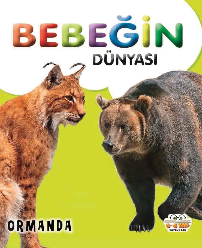 Bebeğin Dünyası - Ormanda (Sıvama Cilt) - 0-6 Yaş Yayınları Kitap
