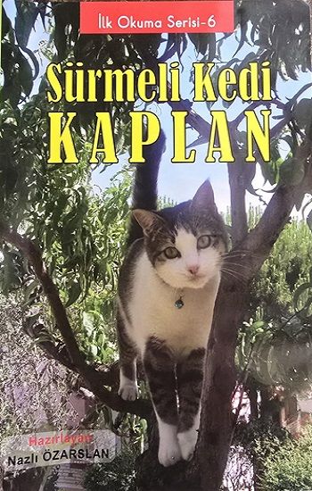 Sürmeli Kedi Kaplan - Kalem Lügat Yayıncılık Kitap