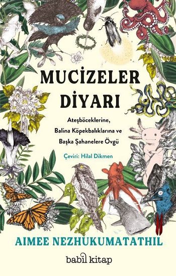 Mucizeler Diyarı: Ateşböceklerine, Balina Köpekbalıklarına ve Başka Şahanelere Övgü - Babil Kitap Kitap