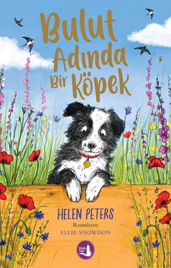 Bulut Adında Bir Köpek - Büyülü Fener Yayınları Kitap