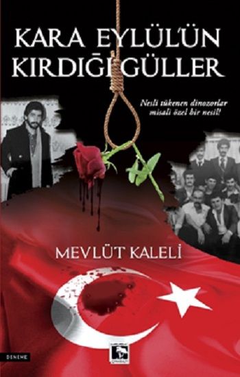 Kara Eylül'ün Kırdığı Güller - Çınaraltı Yayınları Kitap