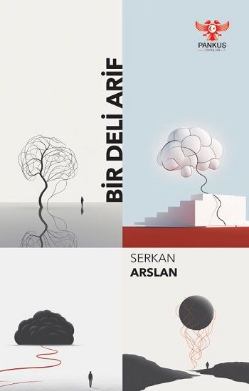 Bir Deli Arif - Pankuş Yayınları Kitap