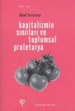 Kapitalizmin Sınırları ve Toplumsal Proletarya - Yordam Kitap Kitap
