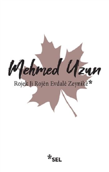 Rojek Ji Rojen Evdale Zeynike - Sel Yayıncılık Kitap