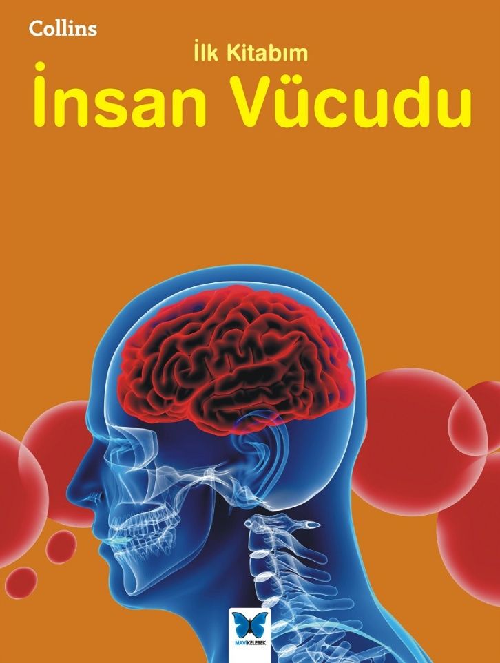 Collins İlk Kitabım İnsan Vücudu - Mavi Kelebek Yayınları Kitap