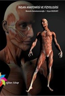 İnsan Anatomisi ve Fizyolojisi - Eğiten Kitap Kitap