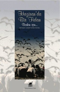 Haziran'da Bir Fidan - Ayrıntı Yayınları Kitap