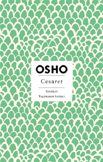 Cesaret - Butik Yayınları Kitap