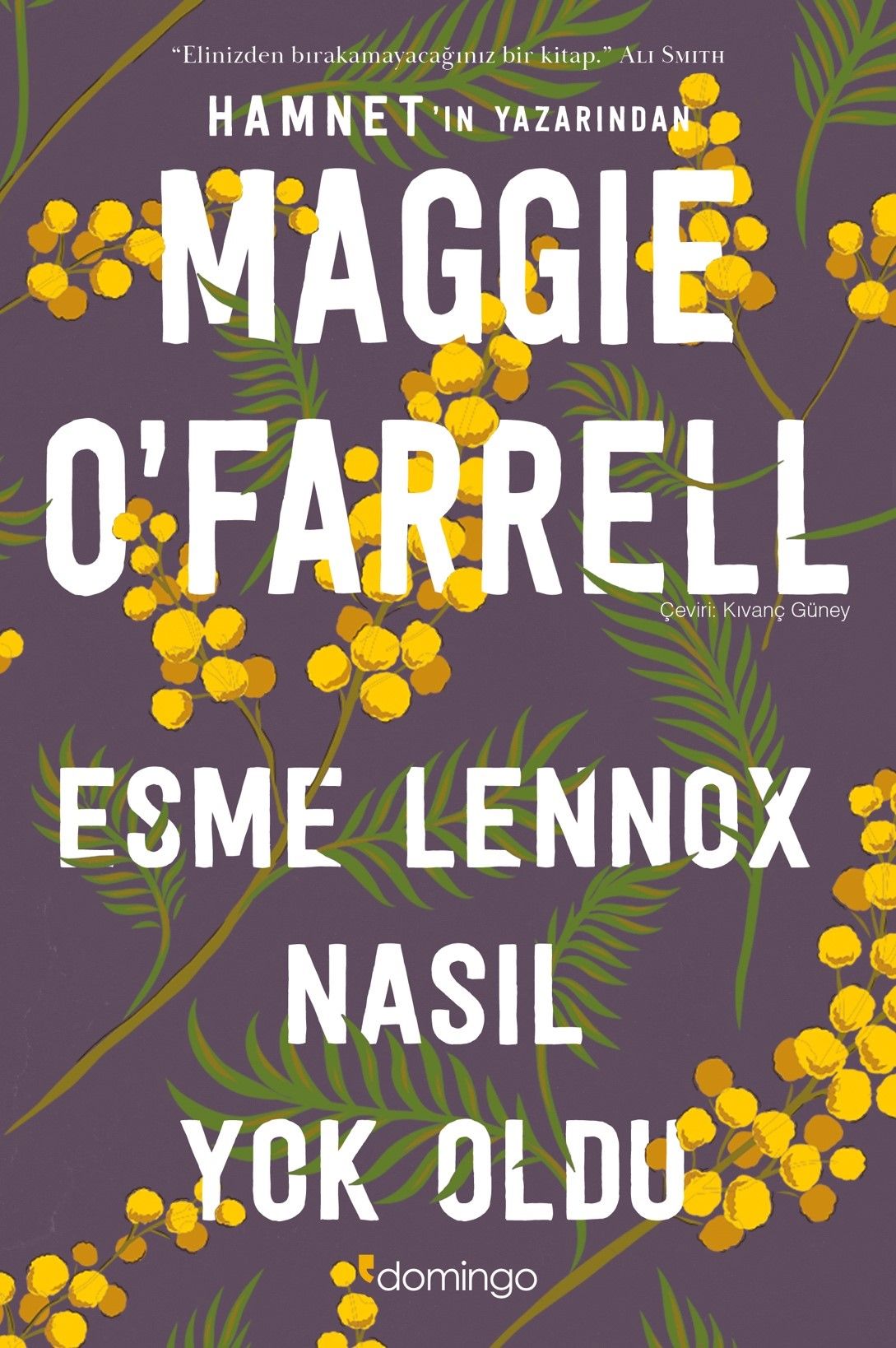 Esme Lennox Nasıl Yok Oldu - Domingo Yayınevi Kitap