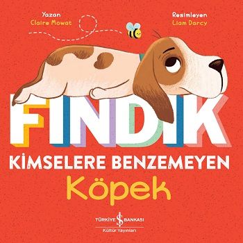 Fındık Kimselere Benzemeyen Köpek - İş Bankası Kültür Yayınları Kitap