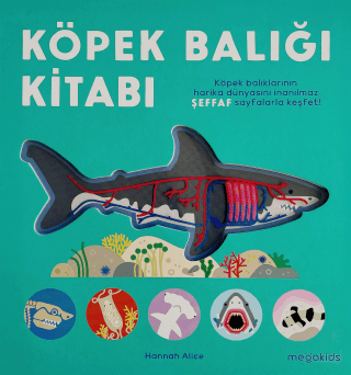 Köpek Balığı Kitabı (Ciltli) - Megakids Yayıncılık Kitap