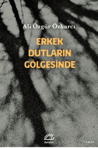 Erkek Dutların Gölgesinde - İletişim Yayınları Kitap