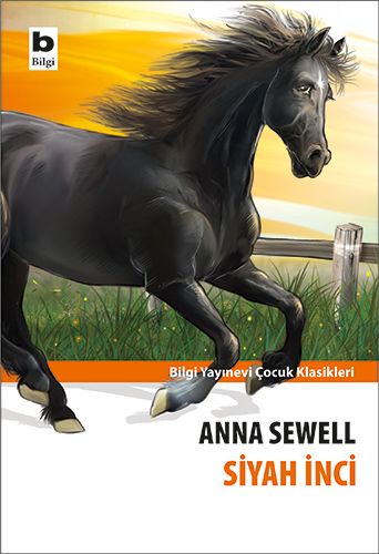 Siyah İnci - Bilgi Yayınevi Çocuk Kitap