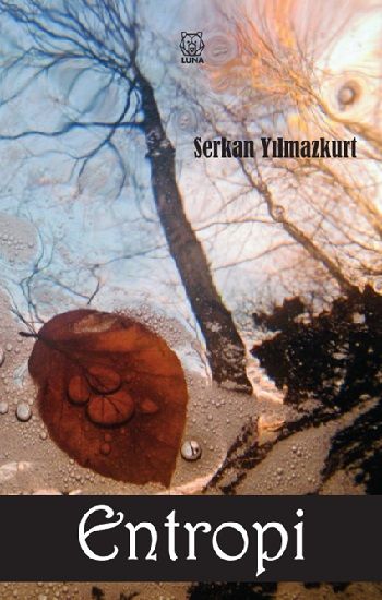 Entropi - Luna Yayınları Kitap
