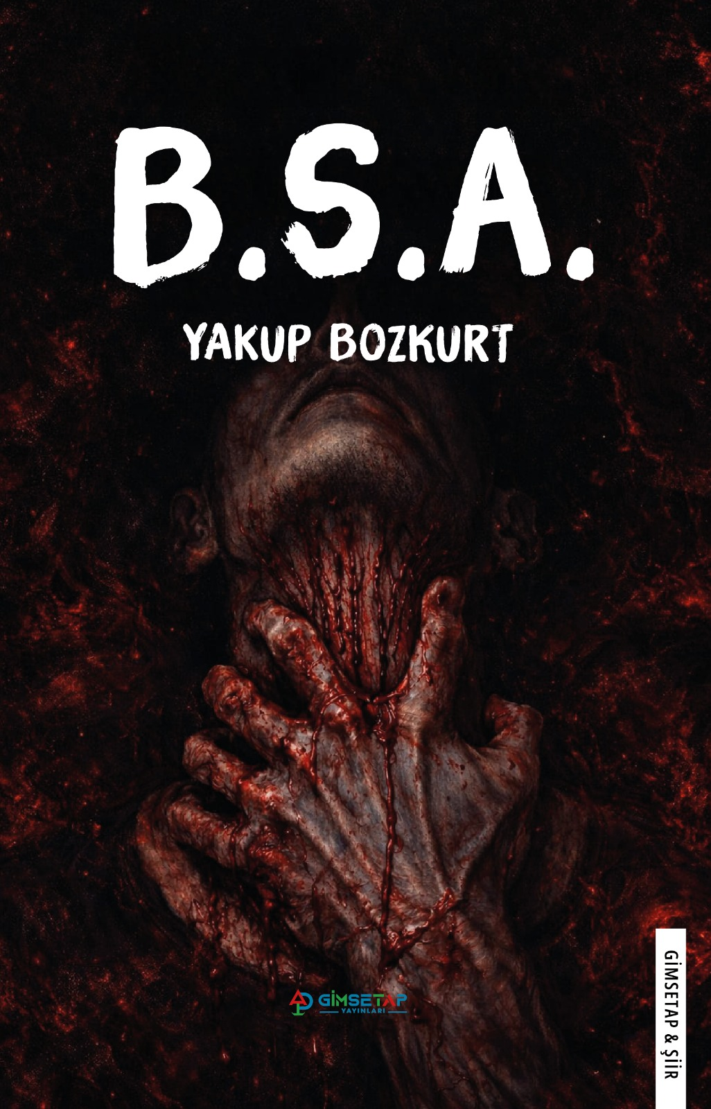 B.S.A - Gimsetap Yayınları Kitap