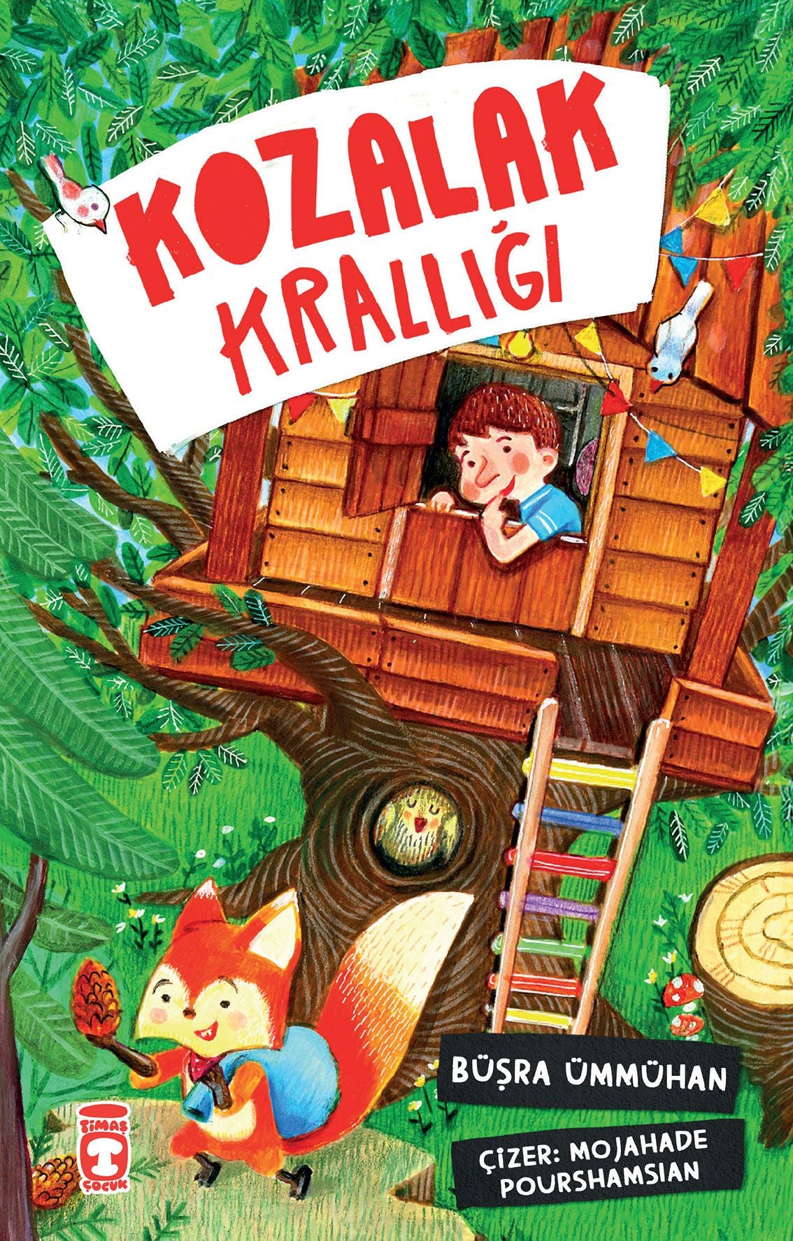Kozalak Krallığı - Timaş Çocuk Kitap