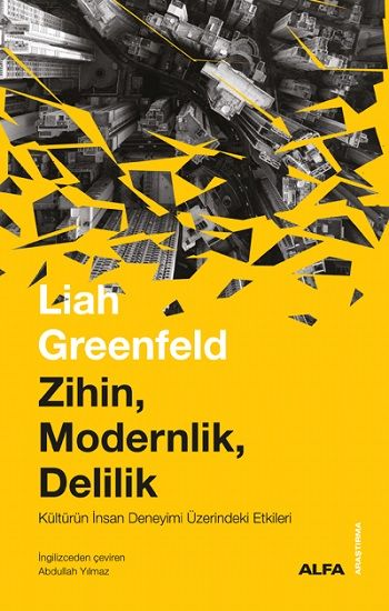 Zihin, Modernlik, Delilik - Alfa Yayınları Kitap