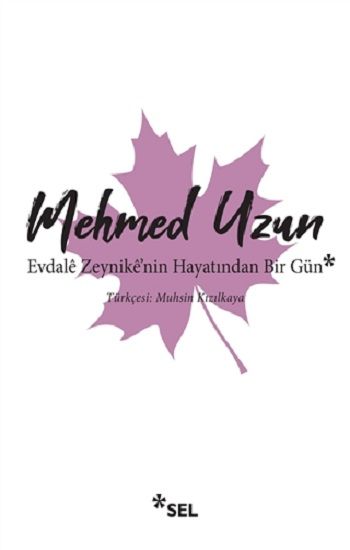 Evdale Zeynike'nin Hayatından Bir Gün - Sel Yayıncılık Kitap