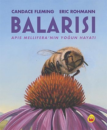 Balarısı - Kuraldışı Yayınevi Kitap