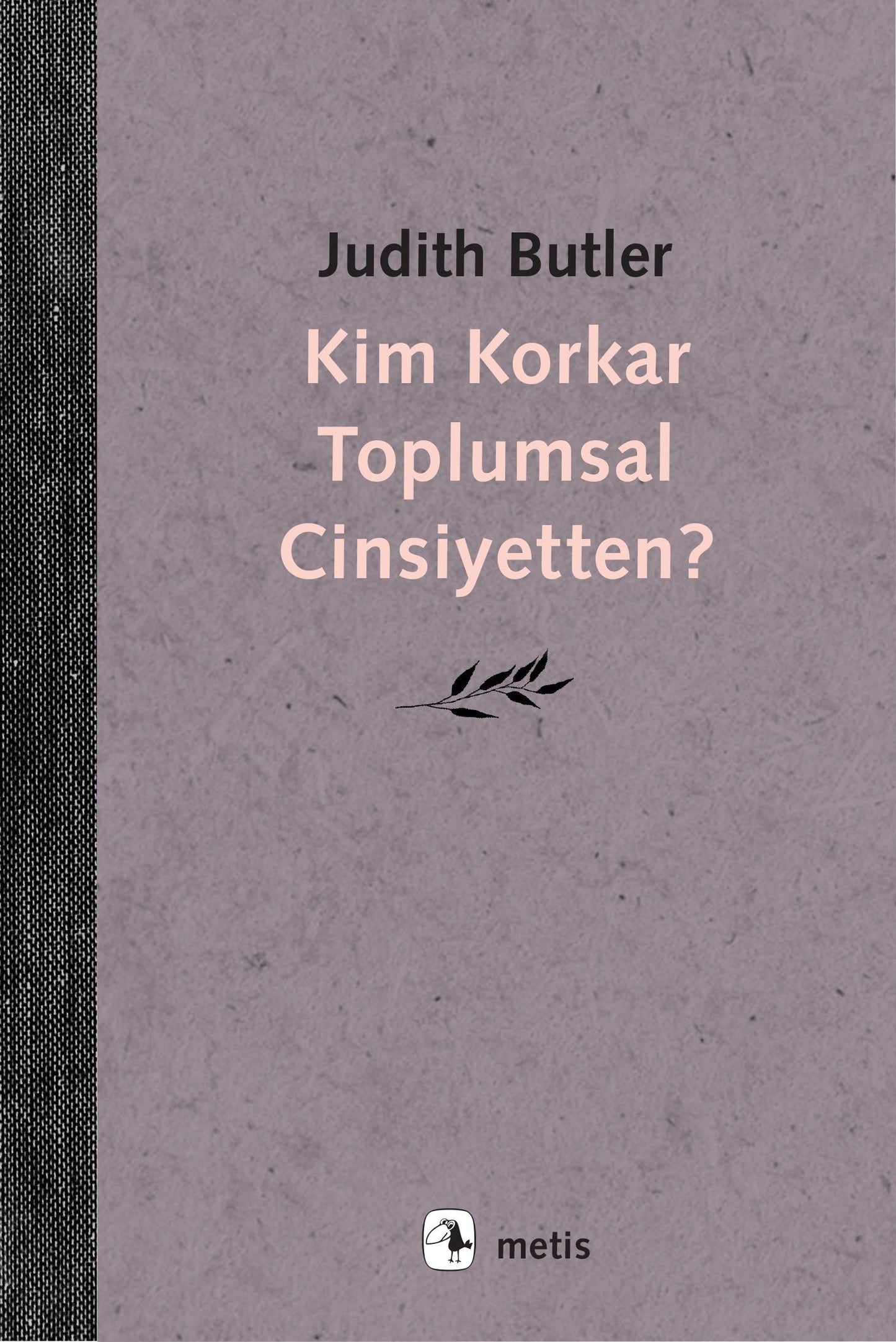 Kim Korkar Toplumsal Cinsiyetten? - Metis Yayınları Kitap