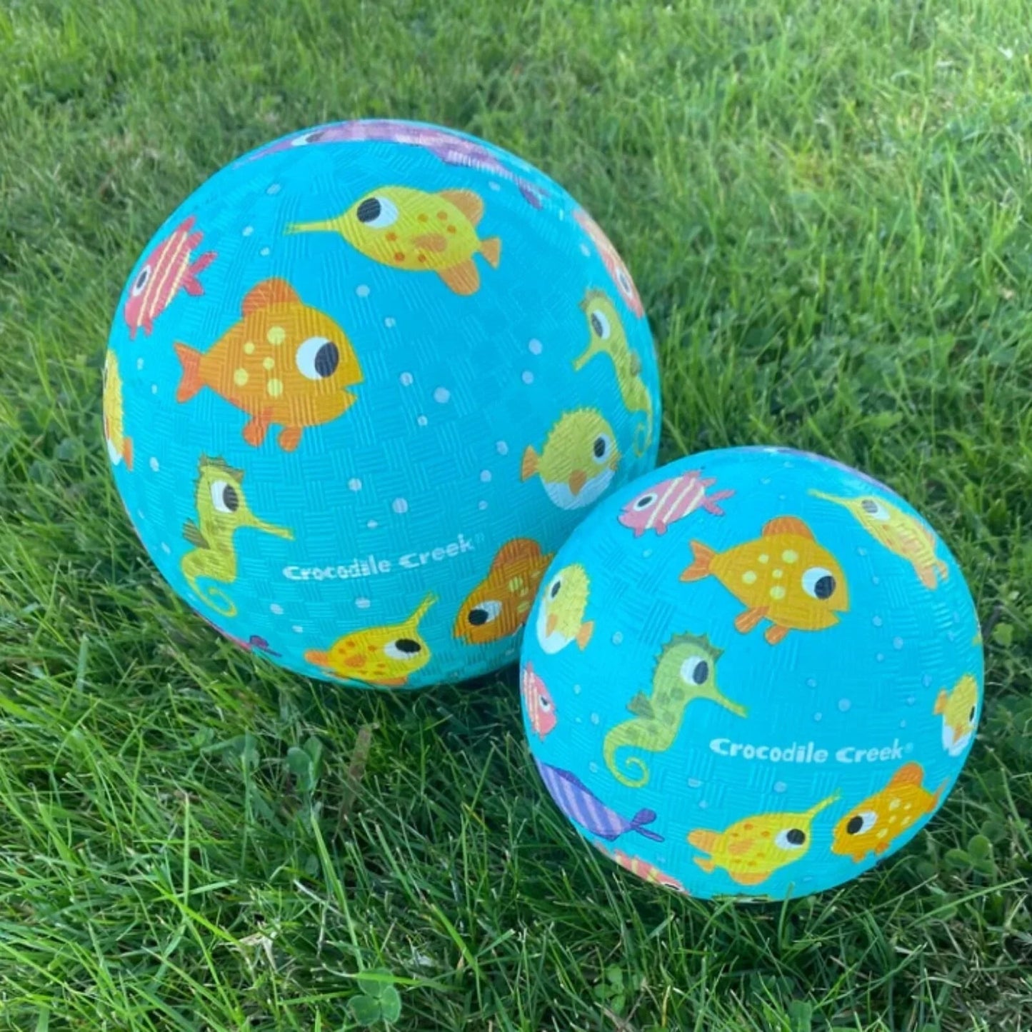 Wheely Bug Crocodile Creek 5" Playball - Fish - mezetto ebebek ebebek