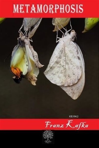 Metamorphosis - Platanus Publishing Kitap
