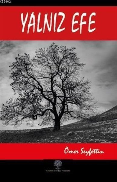 Yalnız Efe - Platanus Publishing Kitap