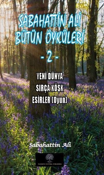 Sabahattin Ali Bütün Öyküleri  2 - Yeni Dünya - Sırça Köşk - Esirler - Platanus Publishing Kitap