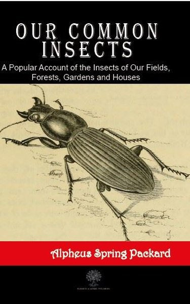 Our Common Insects - Platanus Publishing Kitap