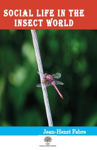 Social Life in the Insect World - Platanus Publishing Kitap
