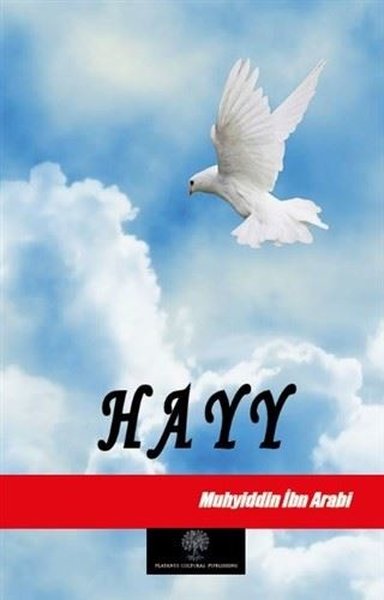 Hayy - Platanus Publishing Kitap
