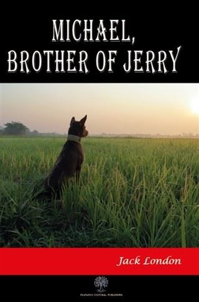Michael Brother of Jerry - Platanus Publishing Kitap