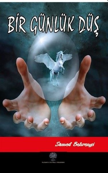 Bir Günlük Düş - Platanus Publishing Kitap