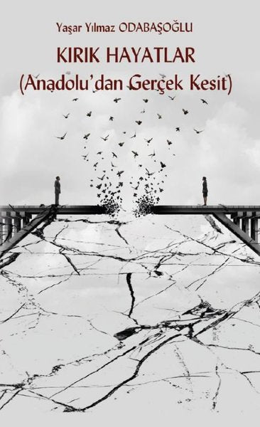 Kırık Hayatlar - Platanus Publishing Kitap