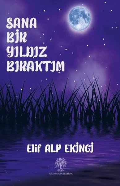 Sana Bir Yıldız Bıraktım - Platanus Publishing Kitap