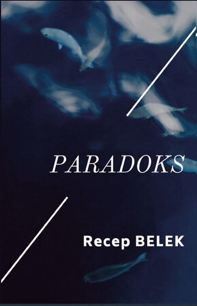 Paradoks - Platanus Publishing Kitap