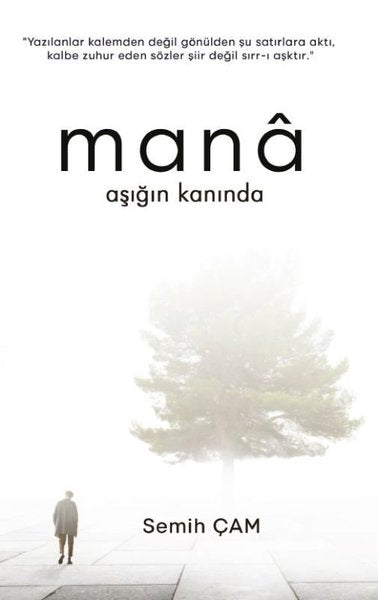 Mana Aşığın Kanında - Platanus Publishing Kitap