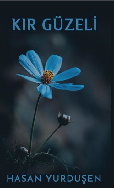 Kır Güzeli - Platanus Publishing Kitap