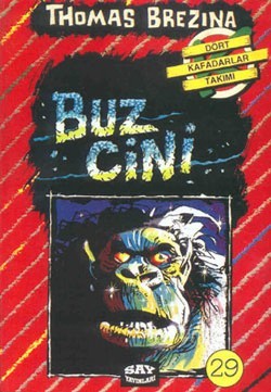 Buz Cini – Say Çocuk kitap kapağı