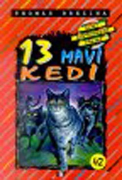 13 Mavi Kedi – Say Çocuk kitap kapağı