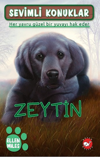 Sevimli Konuklar-3 Zeytin – Beyaz Balina Yayınları kitap kapağı