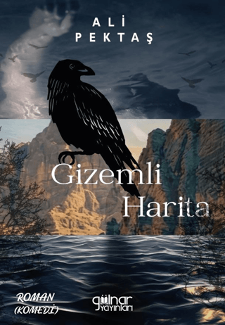 Gizemli Harita – Gülnar Yayınları kitap kapağı