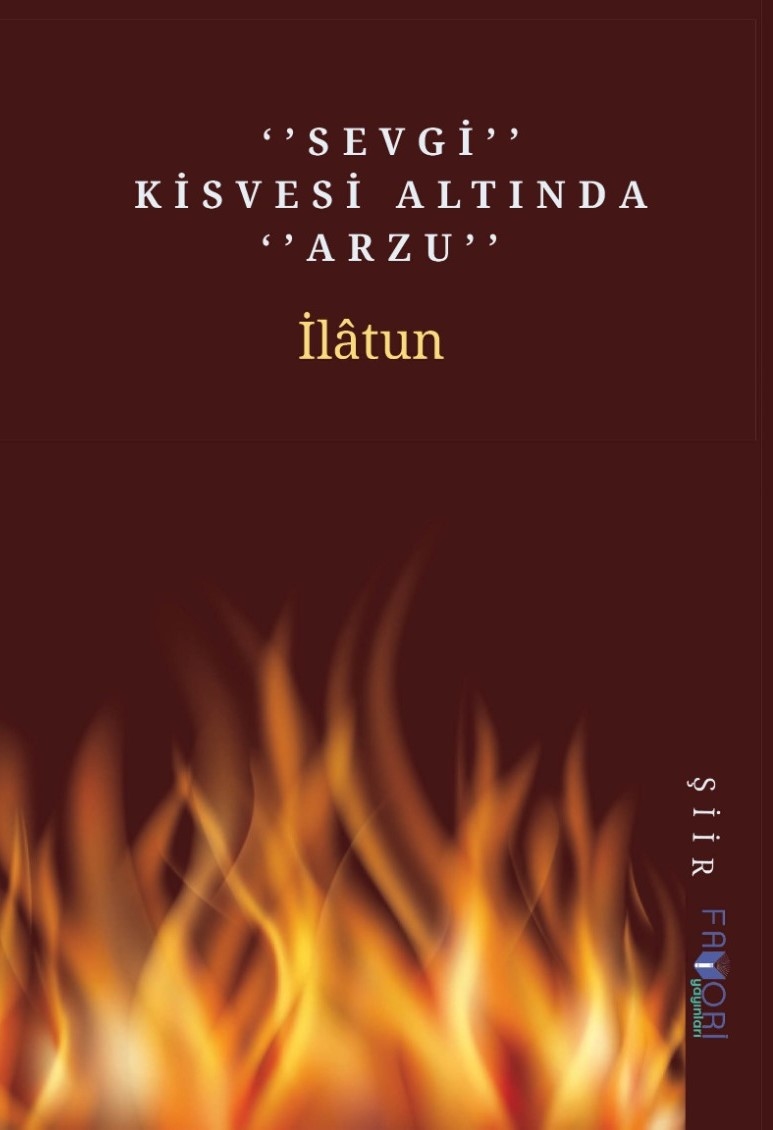 Sevgi Kisvesi Altında Arzu – Favori Yayınları kitap kapağı